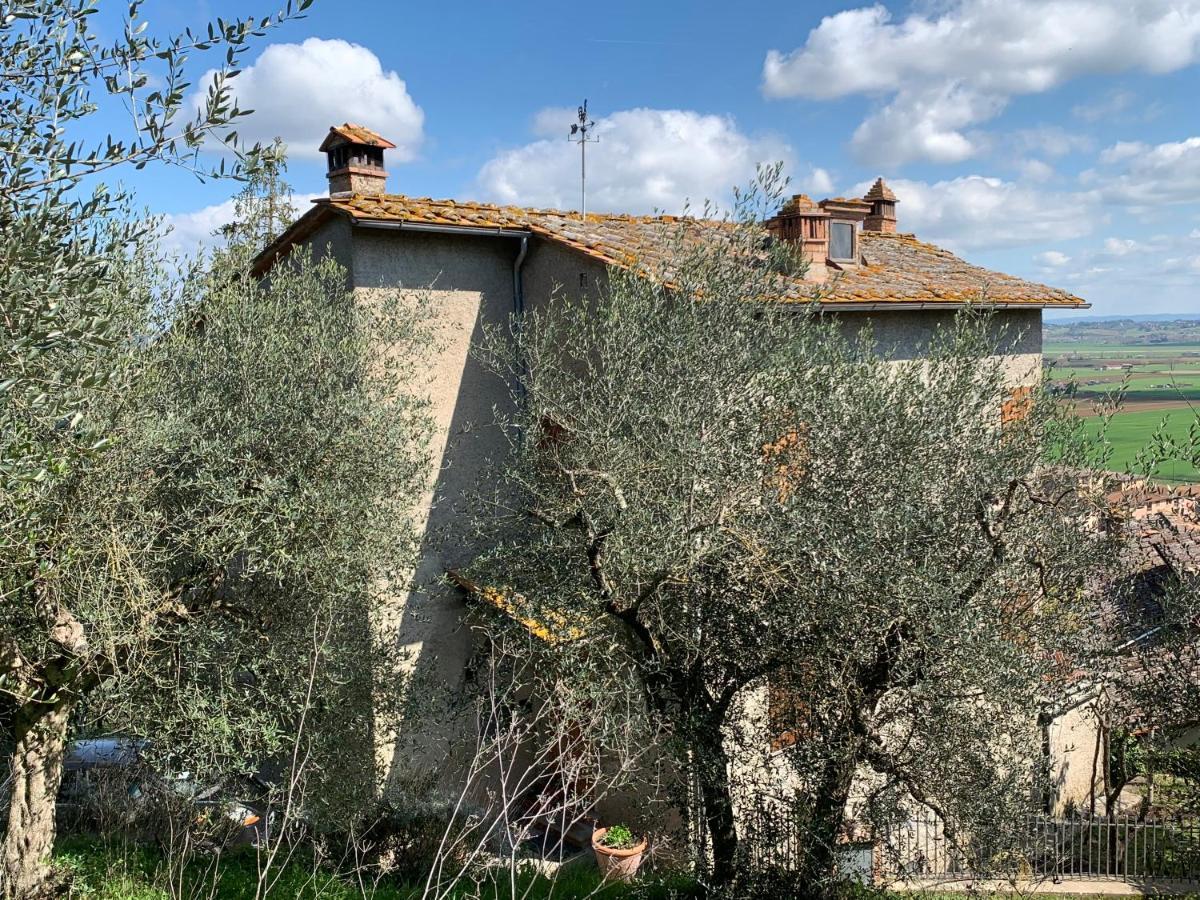 Casa vacanze  Tranquillità e relax in campagna vicino a Siena Rosia Esterno foto